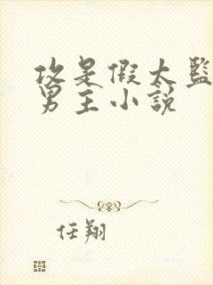 攻是假太监的双男主小说