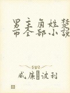 男主角姓楚的都市全部小说