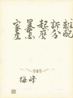 家暴起诉离婚财产怎么分配