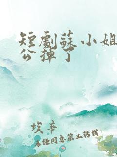 短剧苏小姐你老公掉了