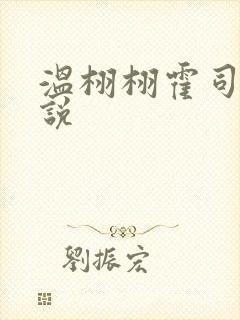 温栩栩霍司爵小说