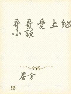 哥哥爱上继妹的小说