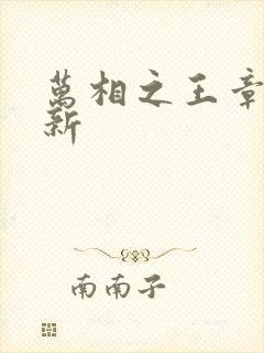 万相之王章节更新