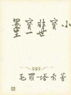 墨宝非宝小说一生一世