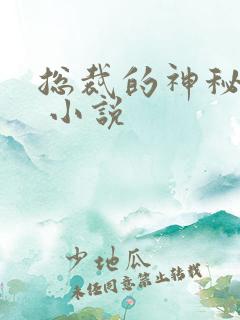 总裁的神秘甜妻 小说