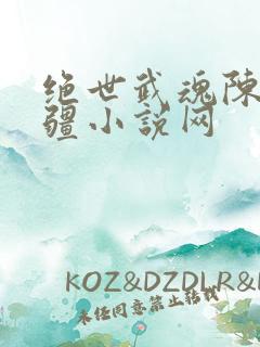 绝世武魂陈枫苗疆小说网