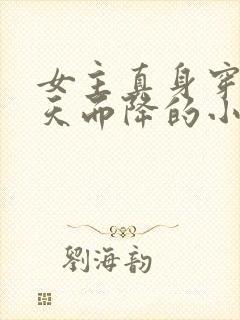 女主真身穿越从天而降的小说