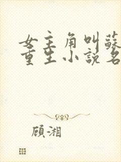 女主角叫苏念的重生小说名