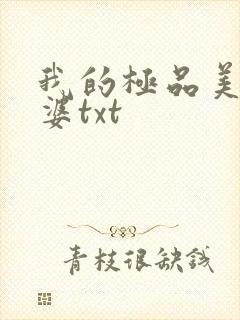 我的极品美女老婆txt