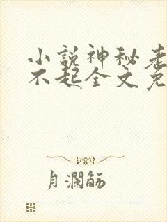 小说神秘老公惹不起全文免费阅读