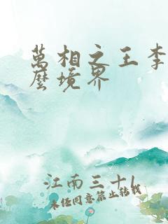 万相之王李洛什么境界