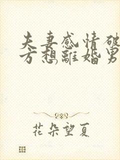 夫妻感情破裂女方想离婚男方不愿意怎么办