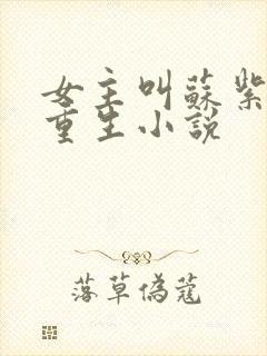 女主叫苏紫宸的重生小说