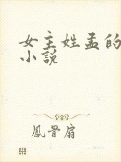 女主姓孟的古言小说