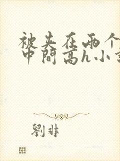 被夹在两个男的中间高h小说