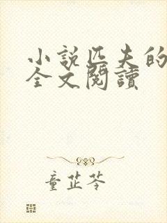 小说匹夫的逆袭全文阅读