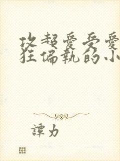 攻超爱受爱到疯狂偏执的小说