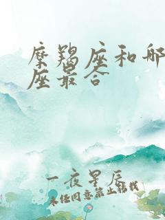 摩羯座和哪个星座最合