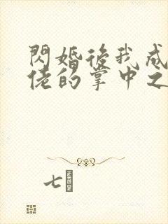 闪婚后我成了大佬的掌中之物》