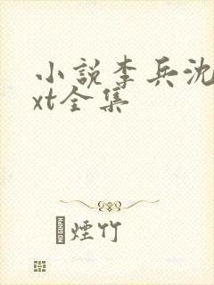 小说李兵沈思txt全集