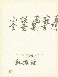 小说 团宠真千金竟是玄门大佬