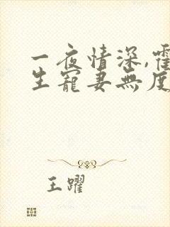 一夜情深,霍先生宠妻无度丨