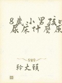 8岁小男孩晚上尿床什么原因