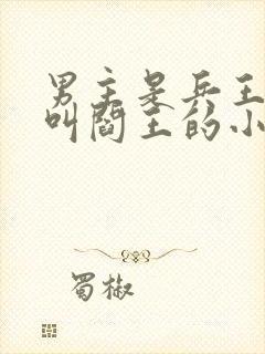 男主是兵王外号叫阎王的小说