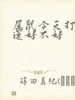 属鼠今天打牌财运好不好