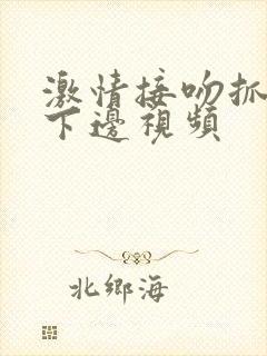 激情接吻抓胸摸下边视频