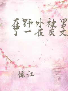 在野外被男人躁了一夜爽文