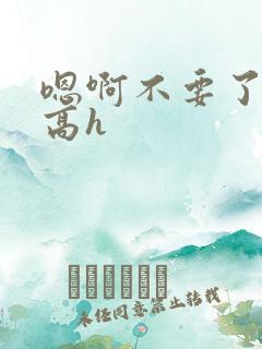 嗯啊不要了调教高h