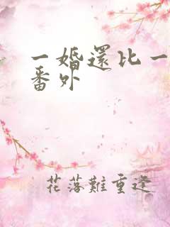 一婚还比一婚高番外