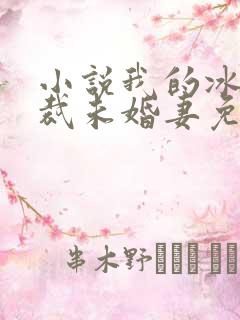 小说我的冰山总裁未婚妻免费阅读