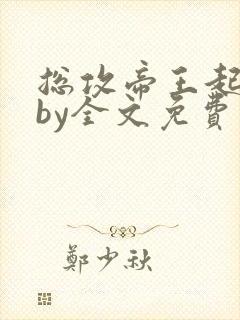 总攻帝王起居录by全文免费阅读