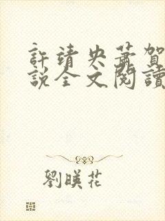 许靖央萧贺夜小说全文阅读最新章节