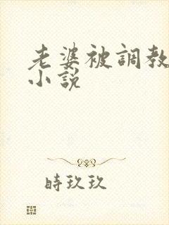 老婆被调教长篇小说