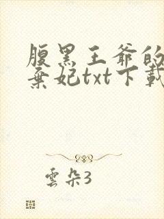 腹黑王爷的绝色弃妃txt下载