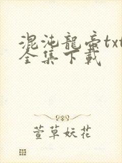 混沌龙帝txt全集下载