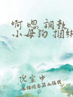 啊 嗯 调教 小母狗 捆绑 bdsm主人