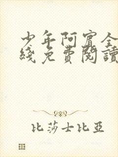 少年阿宾全集在线免费阅读