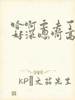 哈啊要去了好大好深嗯啊高h