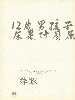 12岁男孩子尿床是什么原因