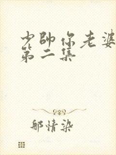 少帅你老婆又跑第二集