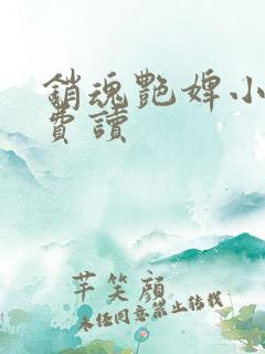 销魂艳婢小说免费读