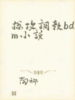 总攻调教bdsm小说