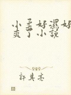 小柔好湿好紧太爽了小说