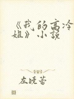 《我的高冷大小姐》小说