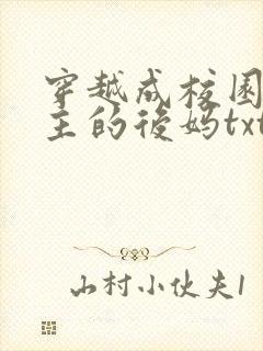 穿越成校园文男主的后妈txt