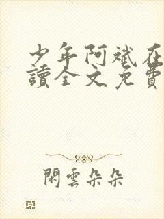 少年阿斌在线阅读全文免费